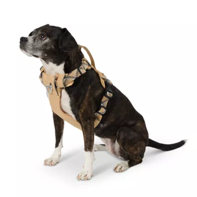 Arcadia Trail Lightweight Dog Harness from PetSmart