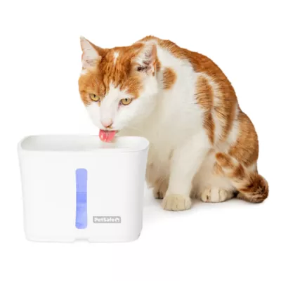 PetSafe Viva Pet Water Fountain from PetSmart